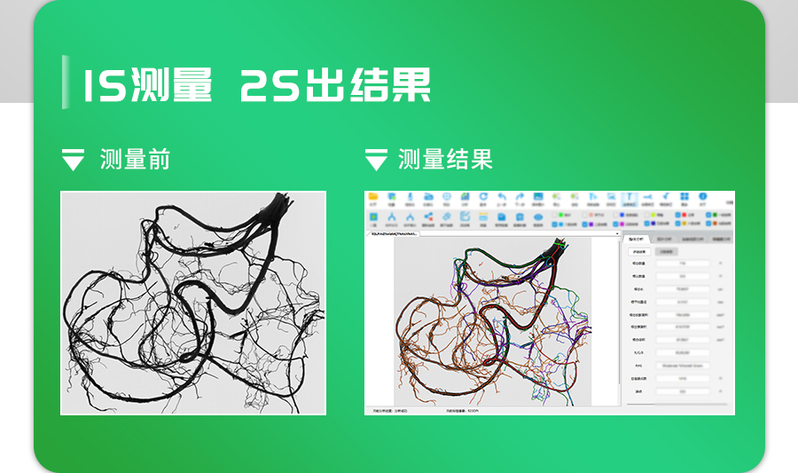 植物根系分析系统