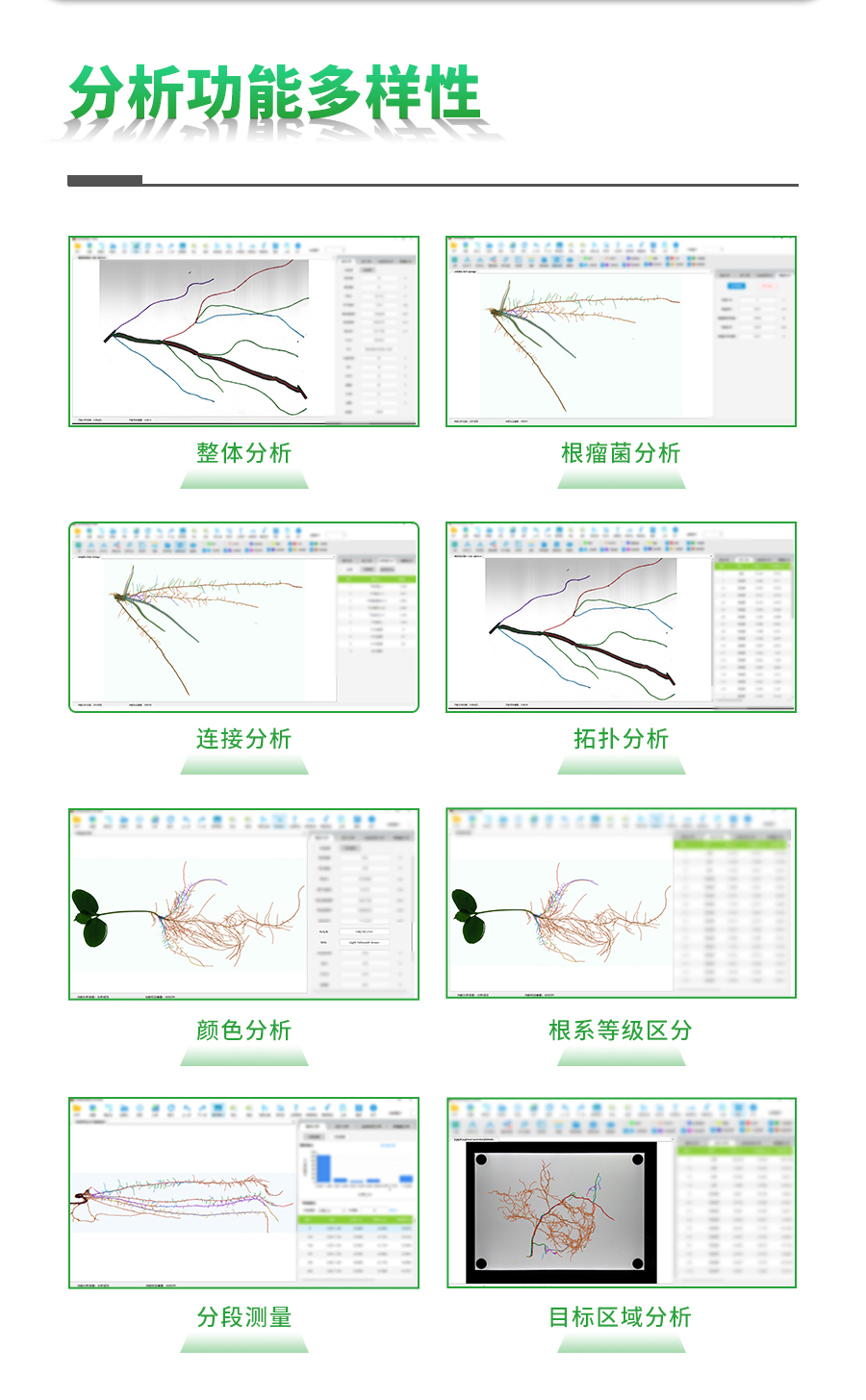 植物根系分析系统