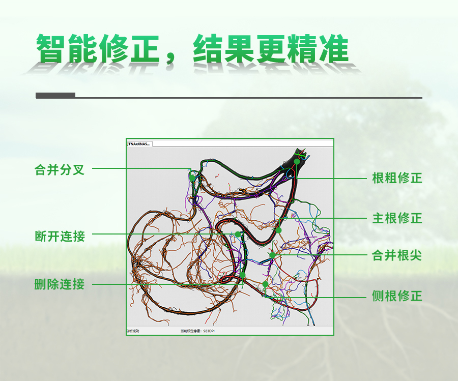 植物根系分析系统
